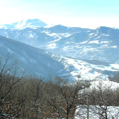 AGRICOLA BELVEDERE