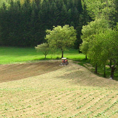 AGRICOLA BELVEDERE